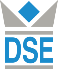 DSE-IT Services
